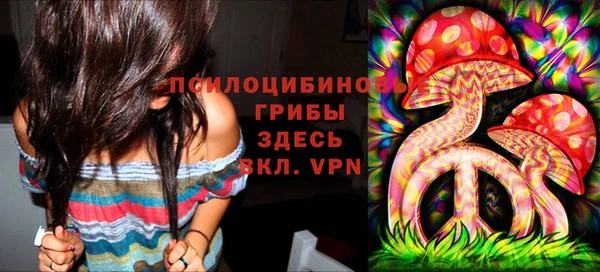 spice Белокуриха