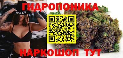 мяу мяу мука Волжский
