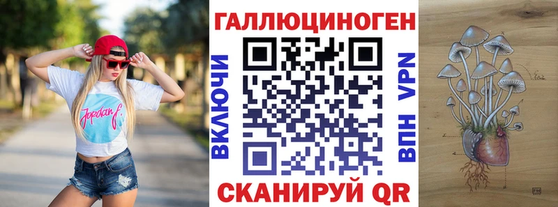площадка клад  Малоярославец  Псилоцибиновые грибы прущие грибы 